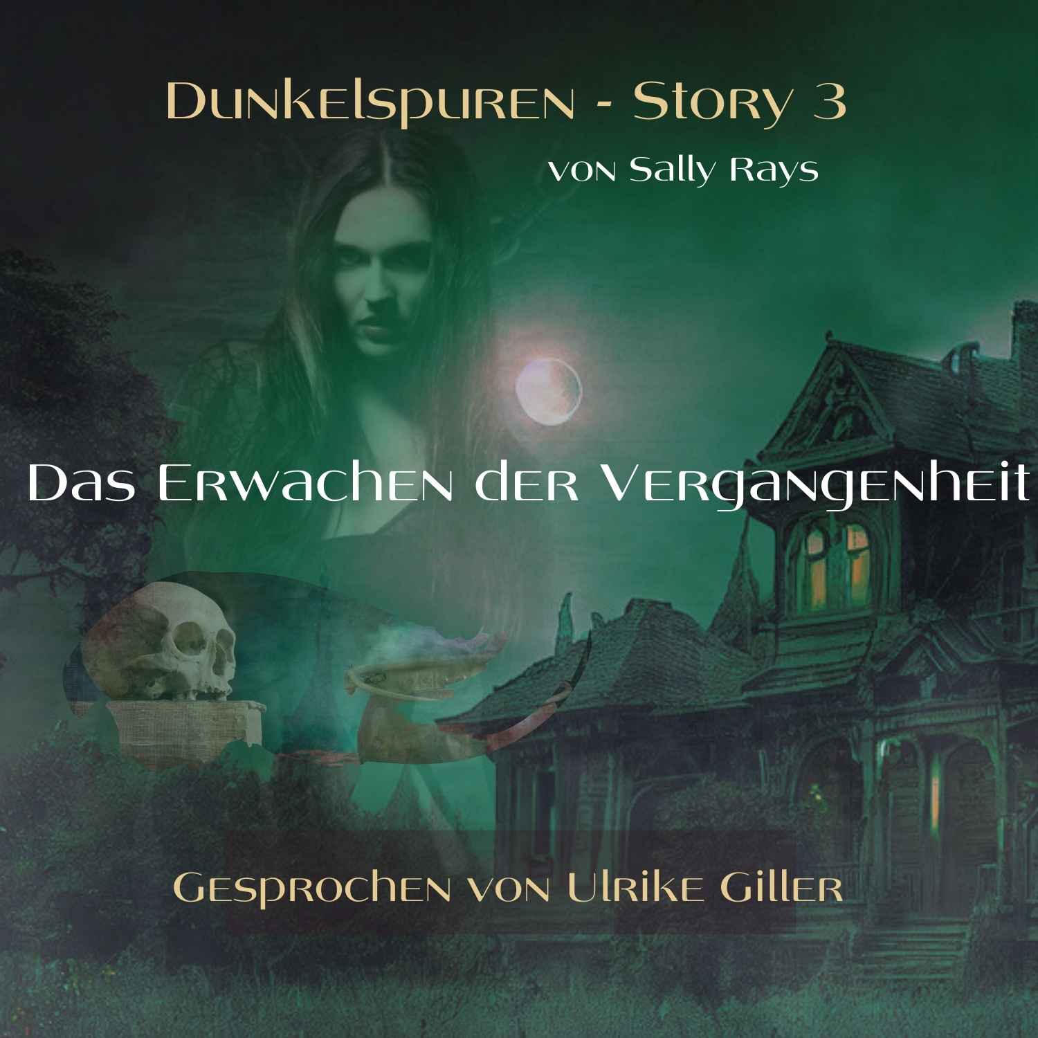 Dunkelspuren - Story 3 - gesprochen von Ulrike Giller